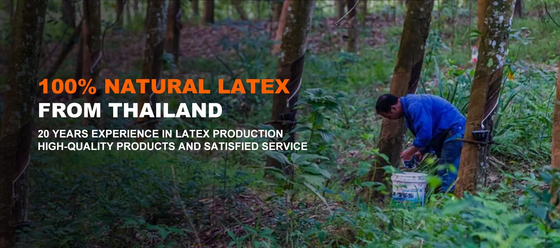 Natuerlike latex matras leveransier